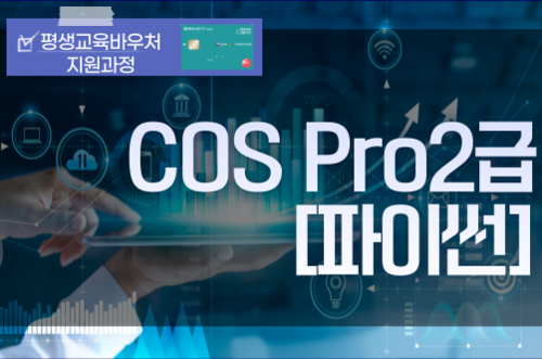 COS Pro(코딩전문가자격시험) 2급 파이썬